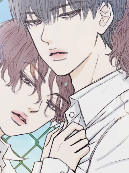 蘑菇视频2.6.0版本更新亮点